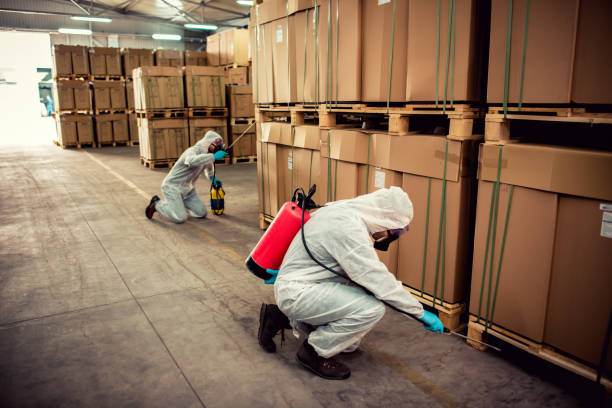 Best Wildlife Control Services  in Lincoln Village, OH