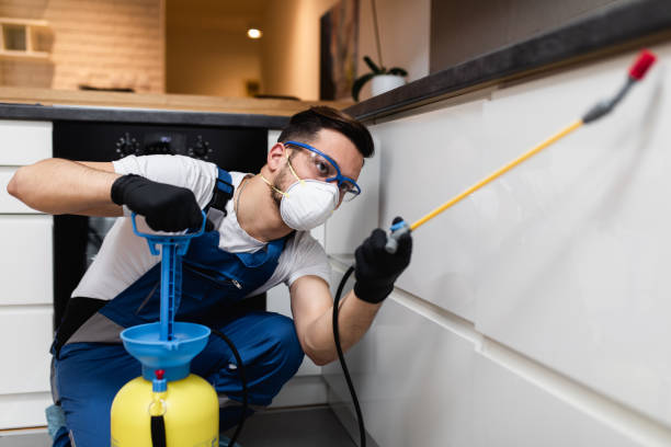 Best Best Pest Control Companies  in Lincoln Village, OH