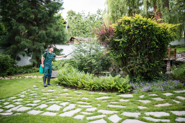 Best Pest Inspection Near Me  in Lincoln Village, OH