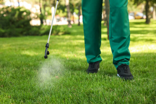 Best Bed Bug Extermination  in Lincoln Village, OH