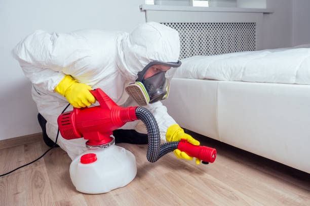 Best Local Pest Control Services  in Lincoln Village, OH